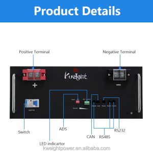 Cabine Lithium Battery Module Paralleled Distributed LiFePO4 Rack Mount Lithium