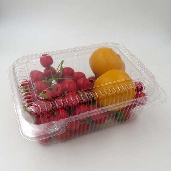 Takeaway Fruit Packaging Box Foldable Plastic Fruit Box Custom Made Fruit Packaging Box Clear Package Fast Food Box