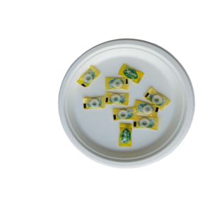 China 10 Inch  Round Compostable Bagasse Disposable Plates on sale