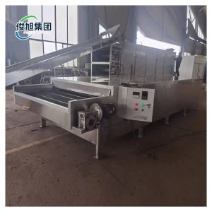 Upgrade Drying Process Heavy Industry Fully Automatic Mesh Belt Dryer