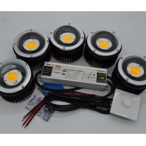 250W LED Vero 29 Indoor DIY Grow Light With Lens Solution Applicated for Cabinnis