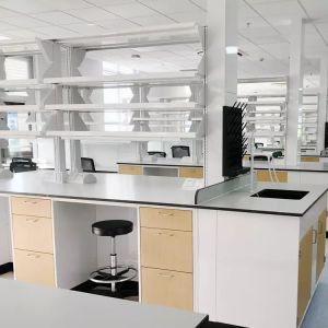 Biologic Laboratory Work Benches Adjustable Lab Bench Science Lab Work Bench