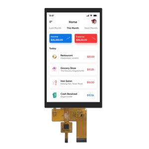 5.0 Inch TFT LCD Module High Brightness LVDS Interface