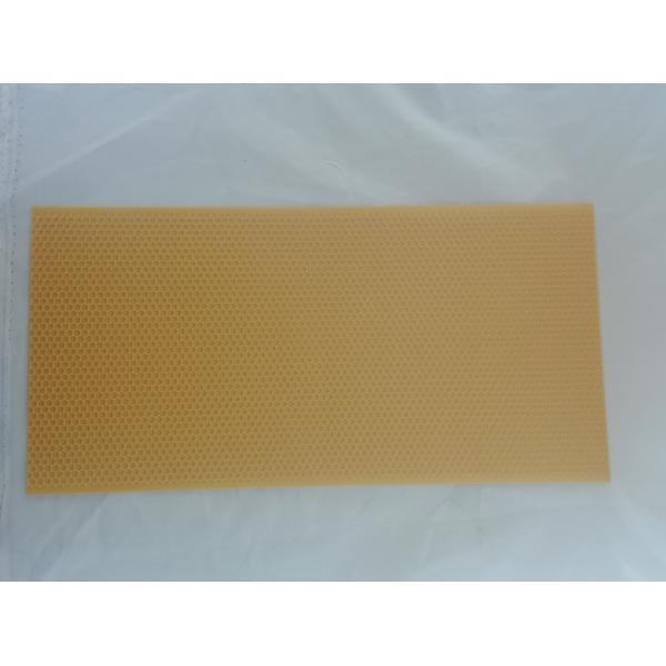 Quality Beekeeping Tools Equpment Beekeeping Plastic Bee Foundation Sheets wholesale