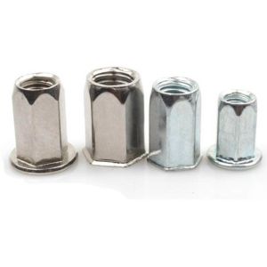 M6 M8 Stainless Steel Hex Hexagon Flat Head Blind Rivet Nut Polishing Plain