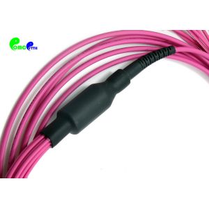 MPO Trunk Cable OM4 12F MPO Female to LC UPC Pre - terminated Breakout 2.0mm 5M