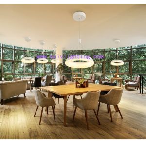 Custmozed Adjust High-end And Classy LED Rand Ring Light For Home BV8002 White