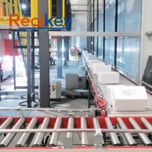 User Friendly Box Roller Conveyor Logistics Conveyor Systems Low Maintenance