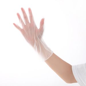 PVC Transparent Disposable Protective Gloves Powder Free Vinyl