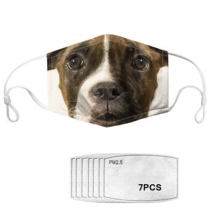 Reusable Dog Pattern Anti Pollution Printed Face Mask