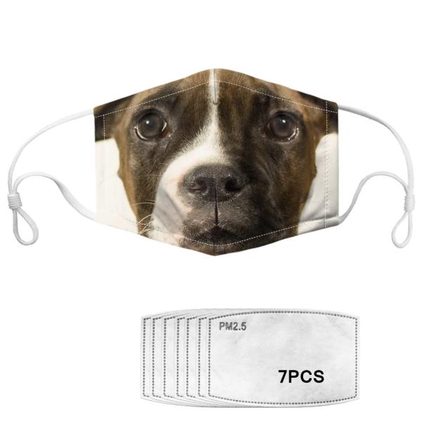 Quality Reusable Dog Pattern Anti Pollution Printed Face Mask wholesale