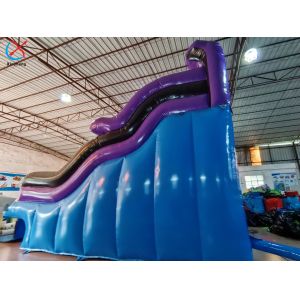 Factory Inflatable Slide Colorful Inflatable Double Water Slides For Kids And