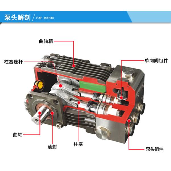 FLOWMONSTER LT-N Heavy Duty High Pressure Plunger Sea Water Desalination Stainless Steel Plunger Pump