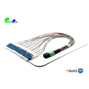 24F MPO Trunk Cable 3.0mm MPO ( Male ) - LC UPC Fanout 0.9mm 30cm For MPO/MTP-LC