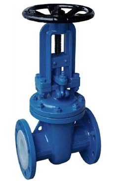 Fluorine gate valve