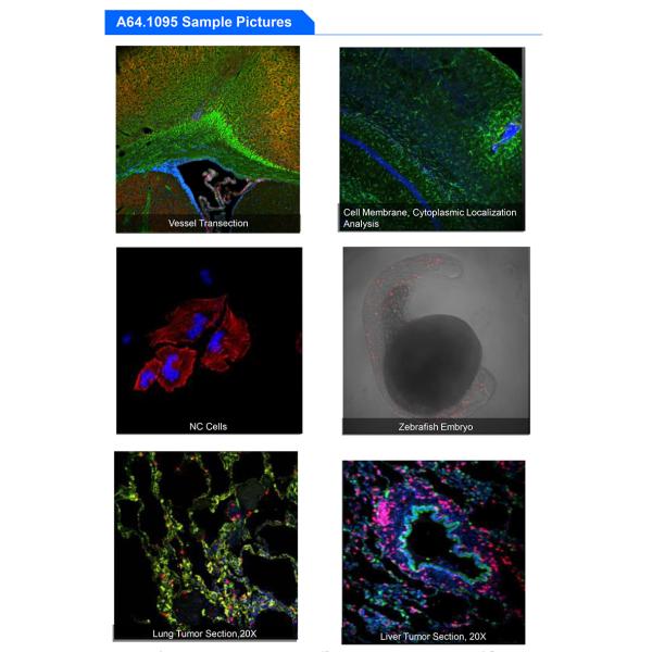 A64.1095 Opto Edu Laser Confocal Microscope Full Auto Motorized