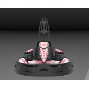 Amusement Park High Torque 7.2Nm Motor Electrical Go Kart 750w 28km/H