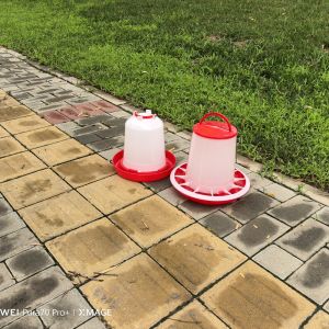 Freestanding Plastic Poultry Feeder 1L-12L Clean Dry