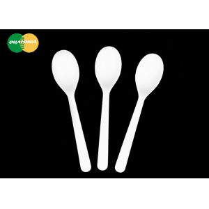 China Sustainable CPLA Disposable Tasting Spoon Eco Friendly Mini on sale