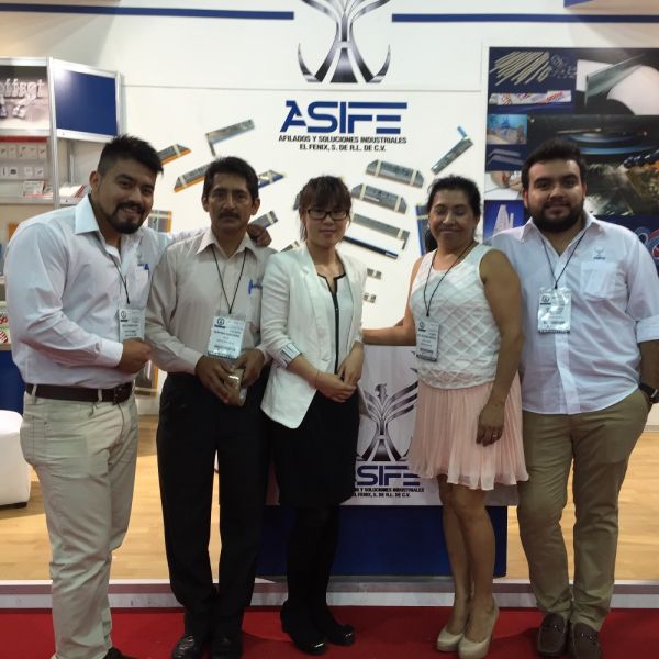 0.4mm Channel Height 1.5mm Channel Width Die Cutting Channel Plastic Creasing Matrix in Coil