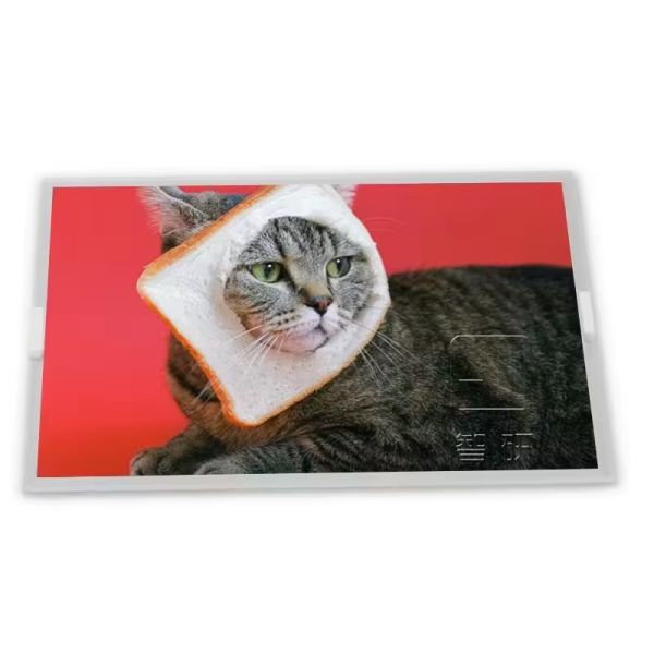 M240HW01 VD 24.0 Inch TFT-LCD 1920*1200 Modules High Resolution LCD Monitors in