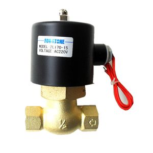 220V 110V 1/2 Inch Brass Stainless Steel Solenoid Valve For Gas Heater Burner