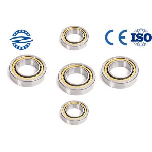 Original CNZH NJ202E Cylindrical Roller Bearing With Single Row / Double Row