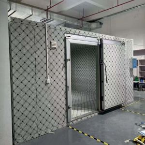 Cheap Custom Cold Storage Room For Fish And Meat Freezing With Automatic Control System for sale