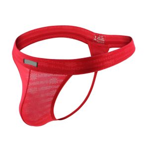 xl Mens Underwear Briefs Low Rise Bulge G-String T-Back Microfiber Lightweight