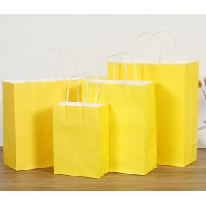 Embossed Printing Paper Bag 250gsm Printed Paper Carrier Bags
