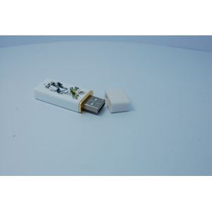 Usb Flash drive,Usb Flash Memory,5 years warranty