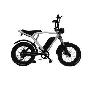 Fast Electric Dirt Bike Mountain City Road EBike With Mechanical Disc Brake In Black