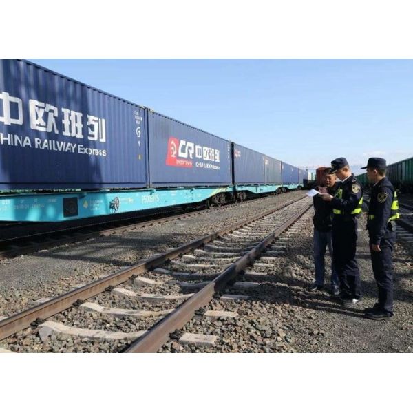 One Stop Shoes Freight Forwarder Customs Clearance Cost Reduceable