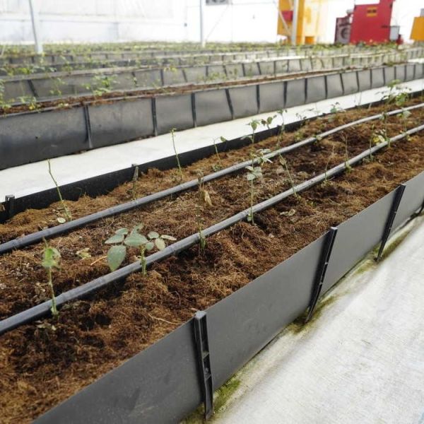 Soilless Growing System PP Growing Trough Colletcing Trough Black Growing