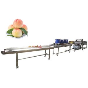 Hot selling Factory Directly Supply Machine Clean Vegetable by Huafood