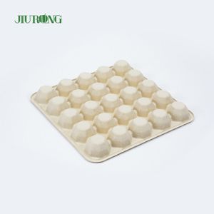 Greaseproof Paper Sugarcane Food Container Recycled Biodegradable Egg Tray
