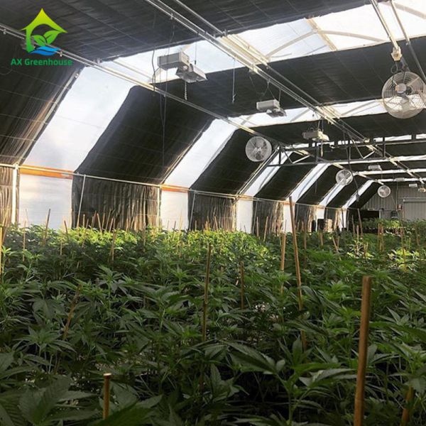 Quality Manual Single Span Light Deprivation Greenhouse 30ft*100ft For Medicinal Plants wholesale