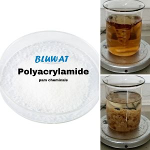 Water Purification Anionic Polyacrylamide Flocculants Polymers for Dissolved Air