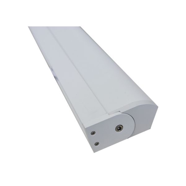 CSP Blackboard RA 95 6500K 2800lm Full Spectrum T8 Bulbs