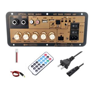 Private Mold NO 2 2.0 Channels 100W BT Mono Amplifier Board for Home/Car HiFi Karaoke
