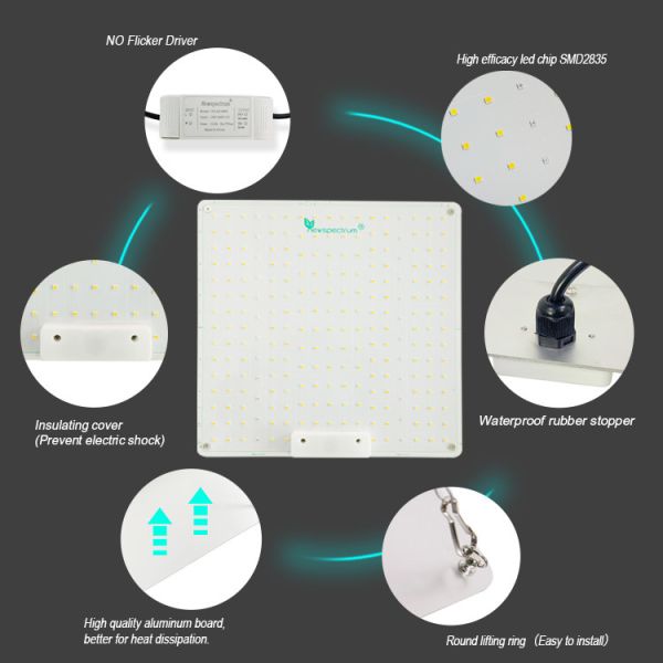 Full Spectrum 150W Horticulture SMD Chip LED Grow Lights For Indoor Plants
