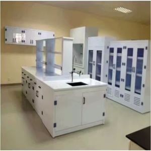 Optimize Your Workspace with Lab Wall Benches for Safety and Customization