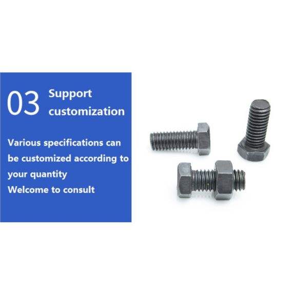 High Precision Stainless Steel 304 Hex Bolts and Nuts for High Temperature Applications