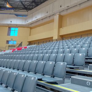 Customizable Retractable Bleacher Seating with 4-10 Rows and Straight Or Curved