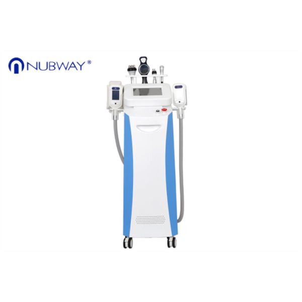 Quality The professional slim freeze cavitation cryotherapy rf 5 handles cryolipolysis fat freezing machine cryolipolysis device wholesale