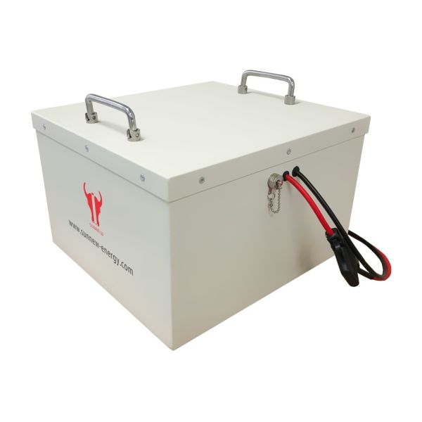 Low-speed Electric Vehicle Lithium Battery Pack, 24V 100Ah, EV Power NCM Polymer