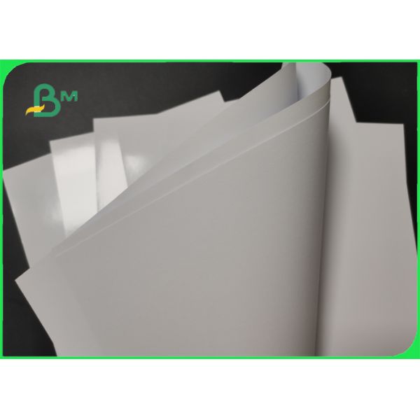 High Brightness 120g 150g Printed Photographic Paper Roll For Resume