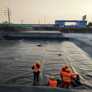 Geomembranes for Artificial Lake Pond Liner Onsite Training and Durable HDPE