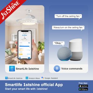 110-240V/50Hz-60Hz Input Voltage LED Ceiling Fan Light with Chandelier Modern