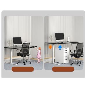 Modern Design Custom Dual Motor Standing Desk for Study SPCC Steel/Iron Frame